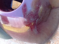 фото thumb №10, Бампер перед передний оригинал 620228h740 nissan x-trail t30 2000-