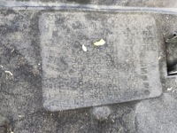 фото thumb №8, Кришка захист двигуна skoda octavia iii 2.0 tsi