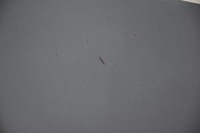 фото thumb №5, Капот крышка двигателя opel astra h iii