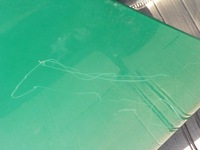 фото thumb №5, Дверь стекло правое scania r xpi 400 440