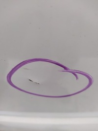 фото thumb №5, Ford transit connect mk2 двері furtki лівий задня