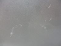 фото thumb №3, Дверь левый задняя renault laguna ii ted69