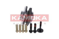 фото thumb №3, Kamoka 5500067 набор подшипник колеса