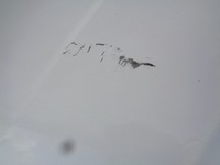 фото thumb №10, Кришка багажника багажника багажника renault megane 3 iii cc cabrio teqnc