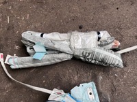 фото thumb №1, 82 alfa romeo giulia шторка безпеки ліва