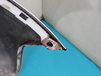 фото thumb №13, Бампер задня kia venga 09-14 білий 7f