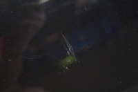 фото thumb №8, Дверь правое задняя задние 189 mercedes cls c219 w219 04-08