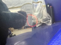 Audi a4 s4 b9 8w капот кришка двигуна lx5r 8w0823029a оригінал в Україні, фото thumb