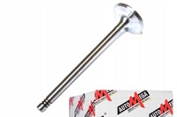 фото thumb №1, Клапан всасывающий do opel vectra c gts 1.6