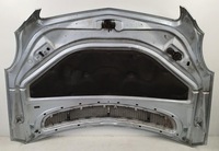 фото thumb №8, Капот mercedes w251