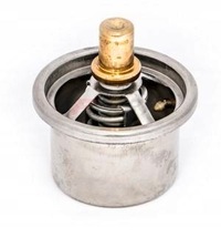 фото thumb №1, Термостат iveco stralis