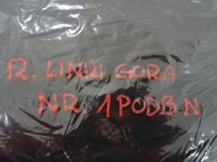 фото thumb №10, Peugeot 2008 ii подкрылок капот nowa