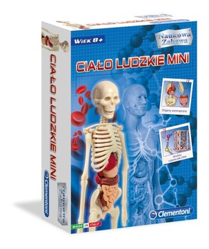 ДЕТСКАЯ ИГРОВАЯ МОДЕЛЬ ЧЕЛОВЕЧЕСКОГО ТЕЛА MINI CLEMENTONI