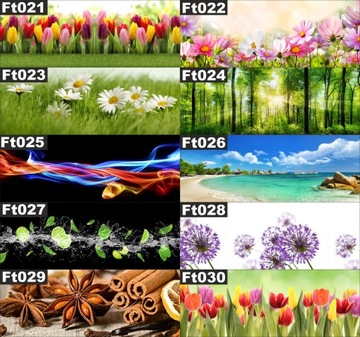 МОЮЩИЕСЯ КУХОННЫЕ ФОТОБОИ Лес Солнце деревья зеленые 260х60