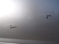 фото thumb №7, Дверь правый перед peugeot 3008