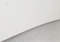 фото thumb №7, Капот frozen white aa ford transit mk6