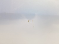 фото thumb №9, Двері передні праве honda jazz iii 08-15