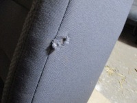 фото thumb №10, Сиденье правый перед vw golf v