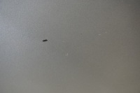 фото thumb №6, Kia sportage iii дверь правый задняя задние 9s