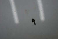 фото thumb №10, Mitsubishi outlander ii рестайлінг капот колір w13 комплектна