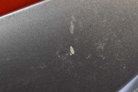 фото thumb №10, Капот крышка двигателя серая subaru legacy 4 iv 08-13