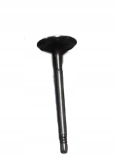 фото thumb №1, Клапан всасывающий daf ldv 400 oem lbu6703