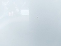 фото thumb №7, Ford kuga mk1 дверь правый задняя правое задние b8