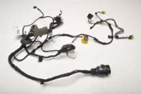 Купити Ferrari california f149 джгут двері 256553, фото thumb