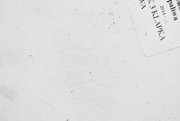 фото thumb №11, Крышка заливной топлива белый 1385931080 peugeot boxer 3 iii lift 14-