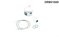 фото thumb №1, Dr.motor drm21608 поршень