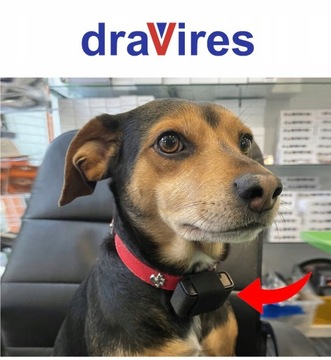 GPS-локатор draVires для собак, кошек, домашних животных, польское приложение