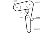 фото thumb №1, Gates 5646xs ремінь розподільного валу