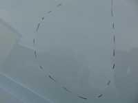 фото thumb №9, Двері зсувні праве бічний розсувні ford transit custom mk2 новий model 23-