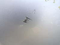 фото thumb №10, Крыло правый передний volkswagen passat b5 lift