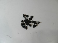 фото thumb №6, Kia sportage i 93-03 шумоизоляция капот + клипсы