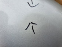 фото thumb №9, Капот кришка двигуна ford mondeo mk5 v fusion