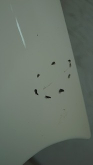 фото thumb №13, Крыло правый перед kia picanto i lift ud