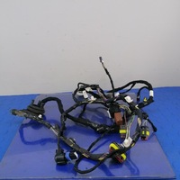 фото thumb №1, Lancia thesis джгут двері ліва задня 60679772