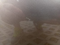 фото thumb №13, Двері лівий задня vw passat b7 kombi la8x