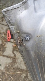 фото thumb №14, Дверь задняя задние правое volvo v50 04-12r