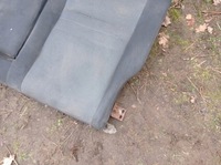 фото thumb №8, Заднє сидіння сидіння спинка nissan primera p12