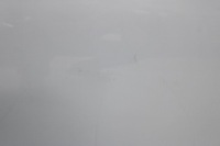 фото thumb №7, Audi a5 8t sportback 09r- дверь левая передние левый перед ls9r