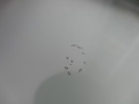 фото thumb №11, Jeep cherokee kj рестайлінг скло лобове передня перед