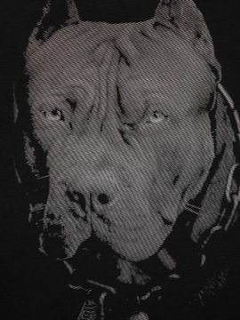 Питбуль Футболка PitBull XXL 1989 года рождения
