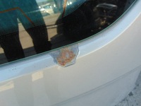 фото thumb №9, Крышка багажника багажника ford transit courier mk2 2014-