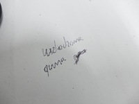 Seat leon 1p 2.0 tfsi приводной вал левое  перед левая vw aud Цена, фото thumb