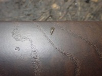 Захист декоративна молдинг салону mercedes-benz gl x166 a1666800403 Недорого, фото thumb