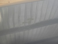 фото thumb №7, Audi a1 82a city крыло левый передний перед