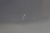 фото thumb №10, Двері правий задня hyundai i40 kombi t6s