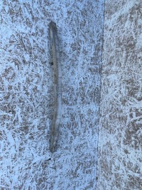 фото thumb №7, Усилитель балка задняя toyota chr 16-